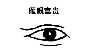 相學 眼|解析面相中的雁眼